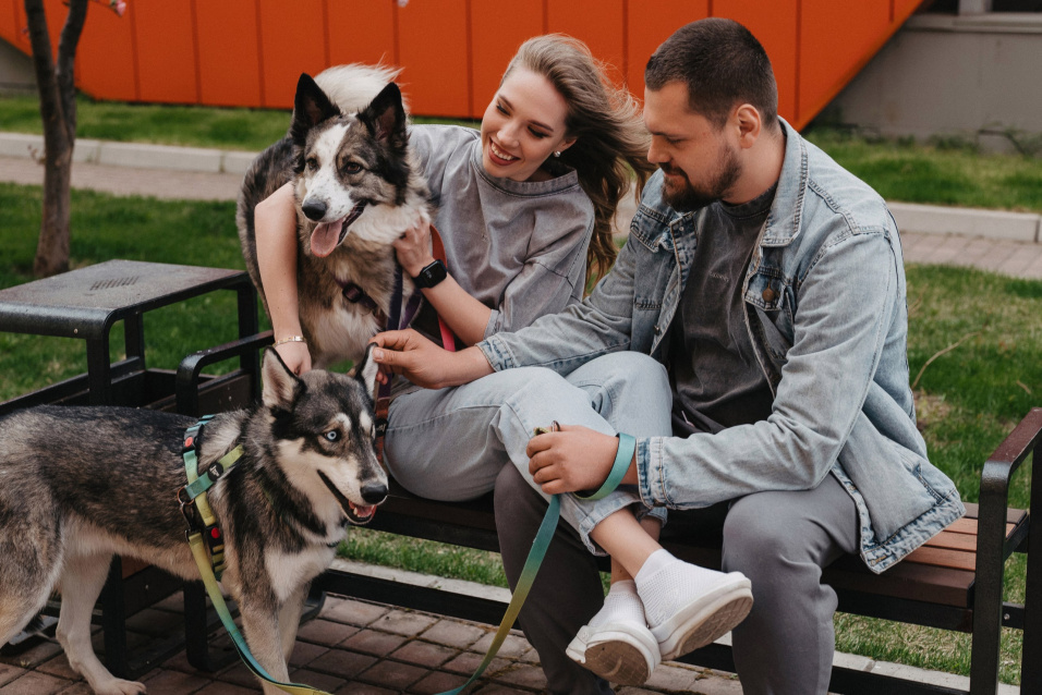Фотосессия с питомцем — трогательные кадры с вашим любимцем – фото № 1